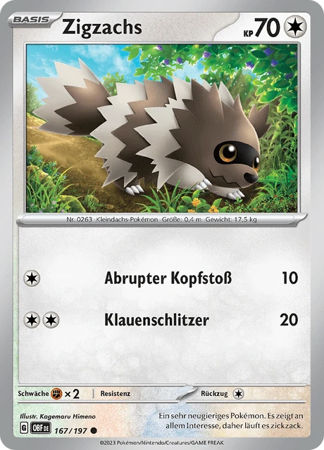 Zigzachs