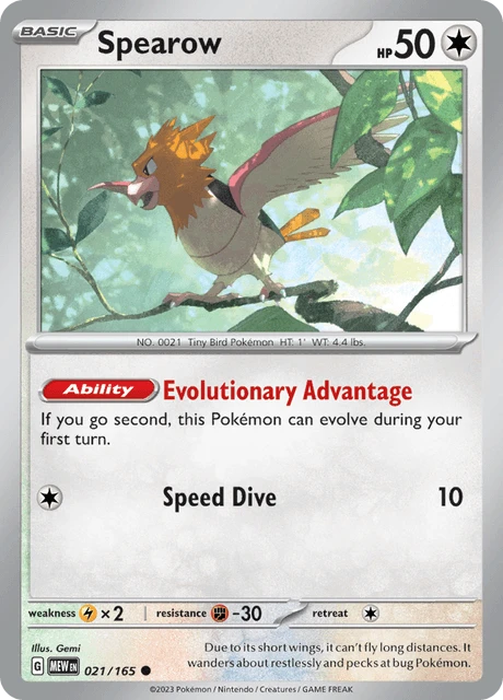 Spearow