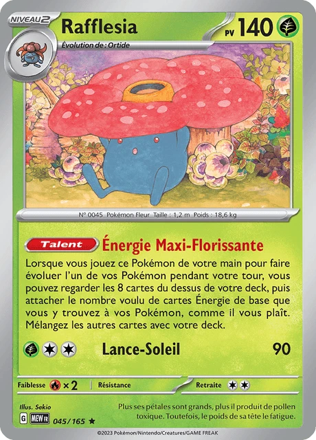 Rafflesia – Holo