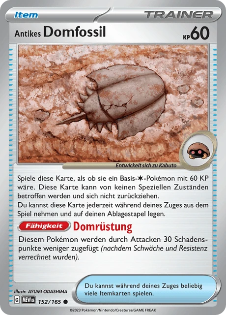 Antikes Domfossil – Normal