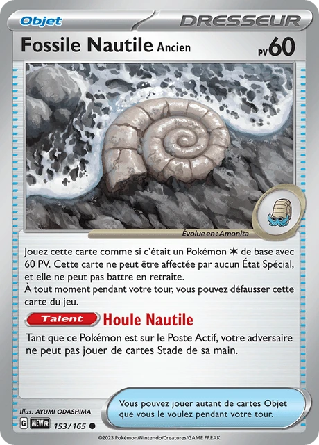 Fossile Nautile Ancien – Reverse Holo