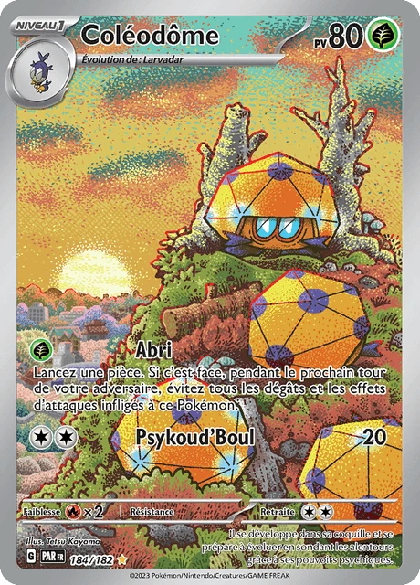 Coléodôme – Holo