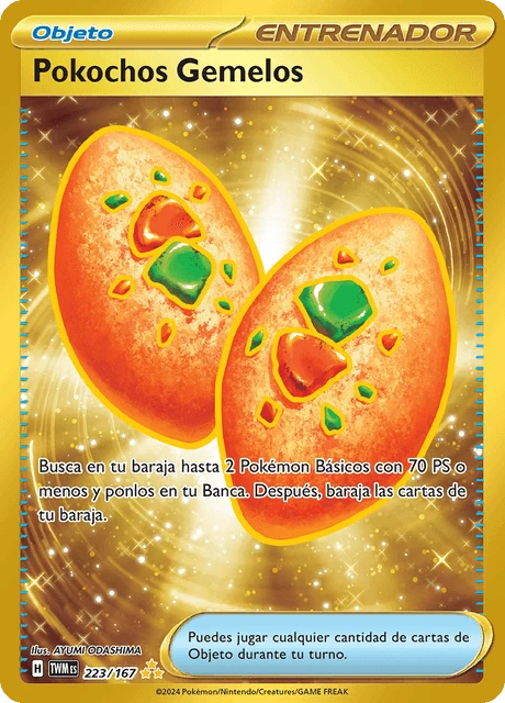 Pokochos Gemelos – Holo