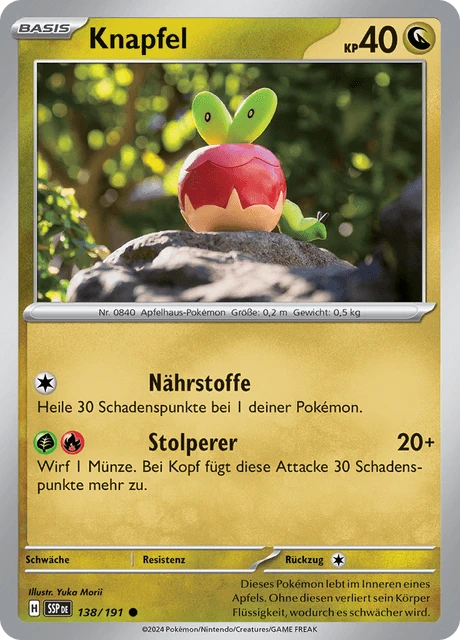 Knapfel – Reverse Holo