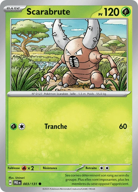 Scarabrute