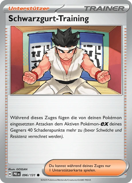 Schwarzgurt-Training – Reverse Holo