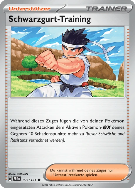 Schwarzgurt-Training – Normal
