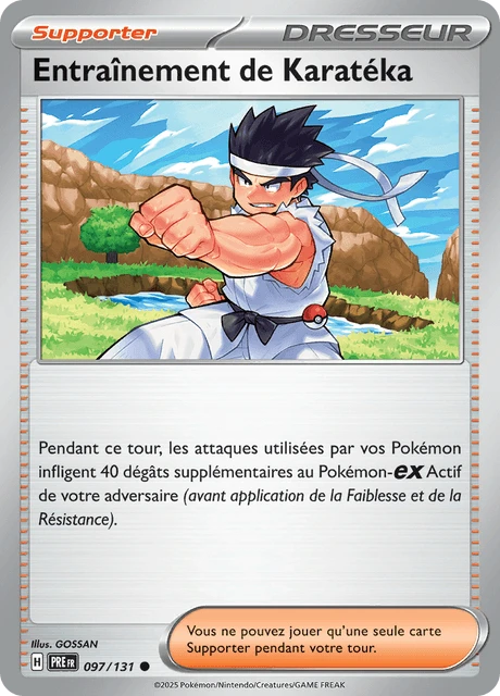 Entraînement de Karatéka – Reverse Holo