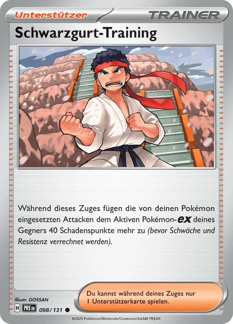 Schwarzgurt-Training – Normal