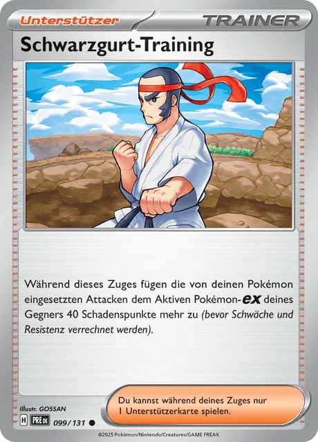 Schwarzgurt-Training – Normal