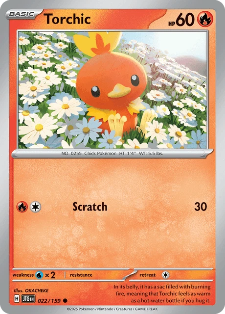 Torchic