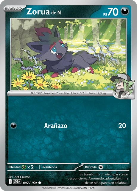 Zorua de N