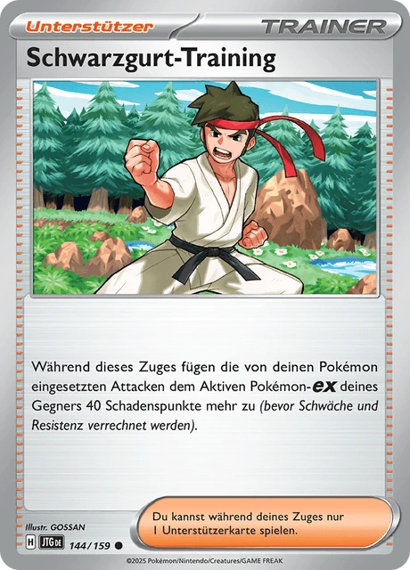 Schwarzgurt-Training – Normal