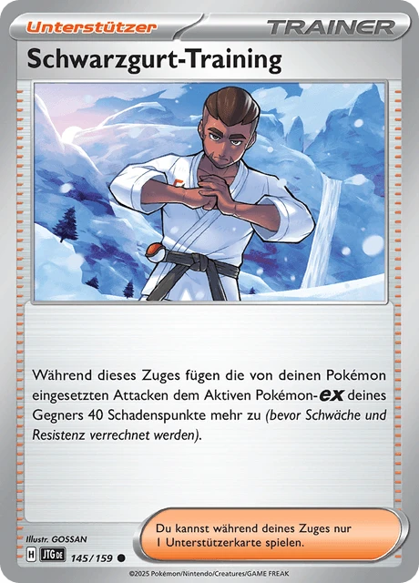 Schwarzgurt-Training – Normal