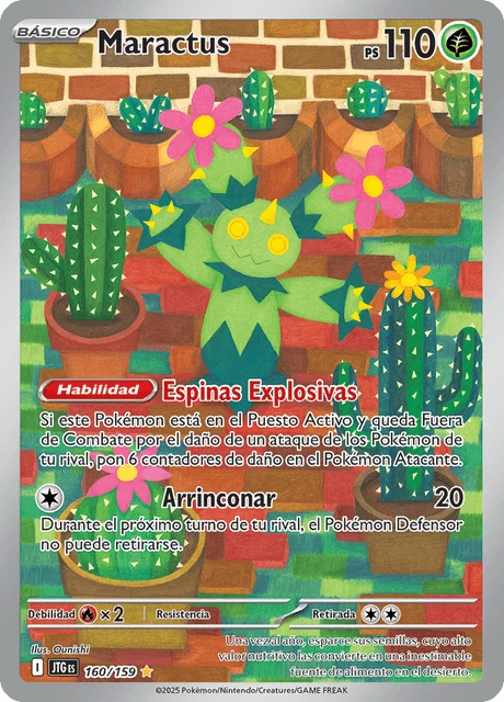 Maractus – Holo