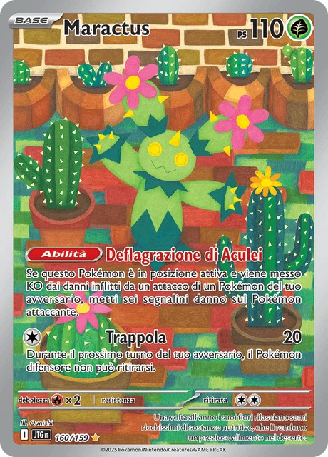 Maractus – Holo