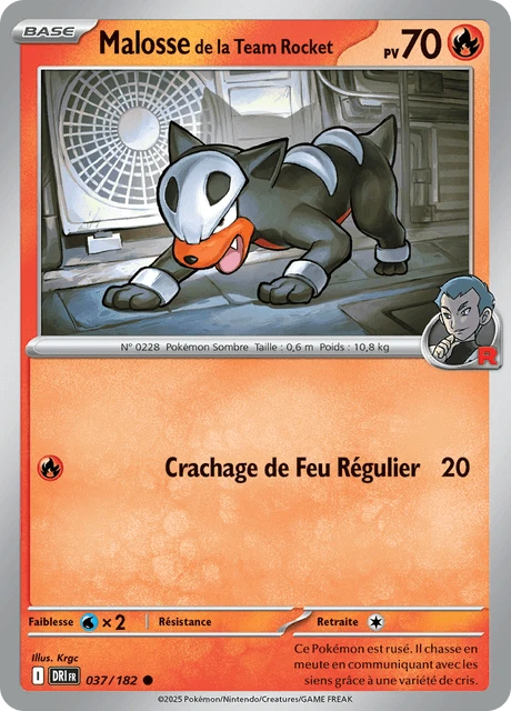 Malosse de la Team Rocket