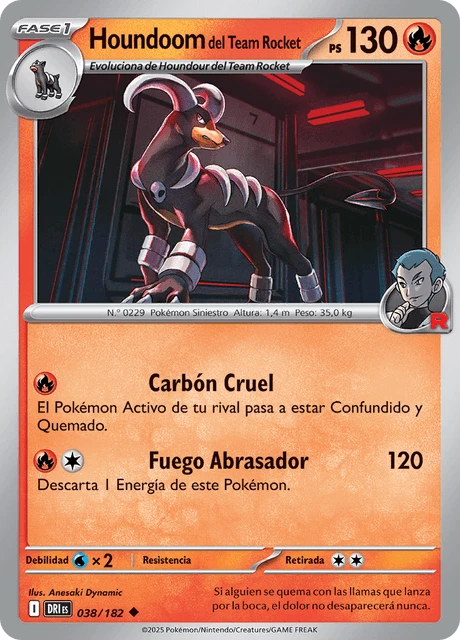 Houndoom del Team Rocket