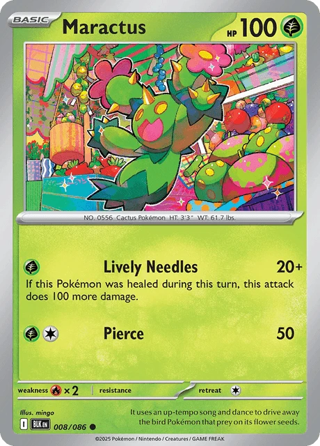 Maractus