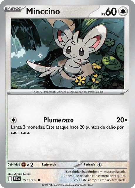 Minccino – Normal