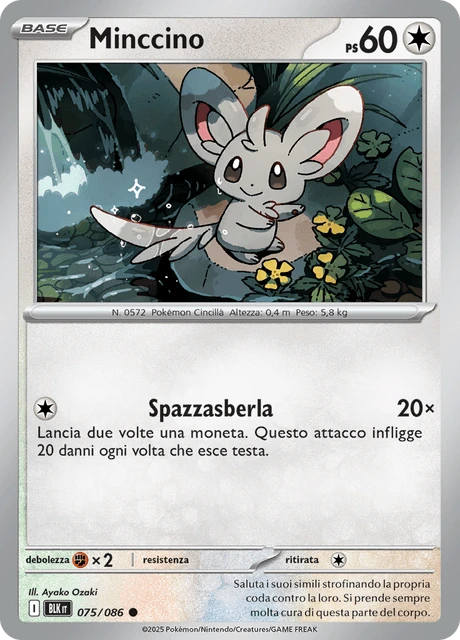 Minccino – Reverse Holo