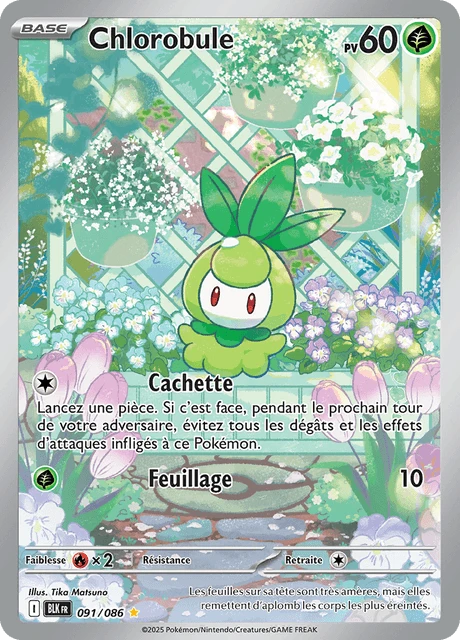Chlorobule – Holo