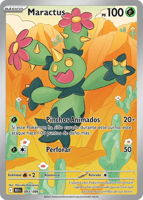 Maractus – Holo