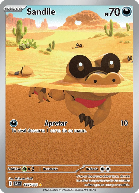 Sandile – Holo