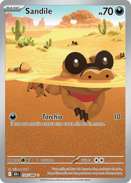 Sandile – Holo
