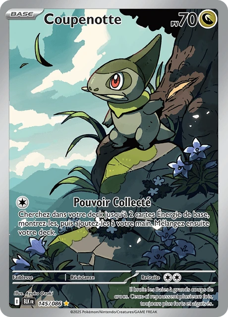 Coupenotte – Holo