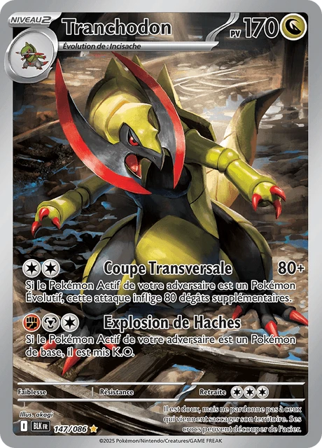 Tranchodon – Holo