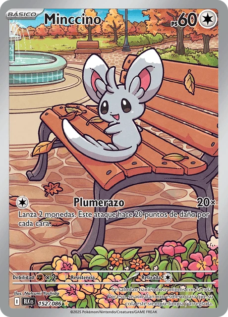 Minccino