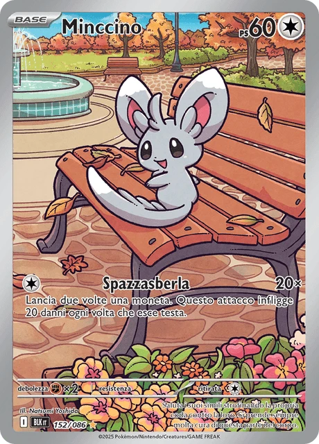 Minccino – Holo