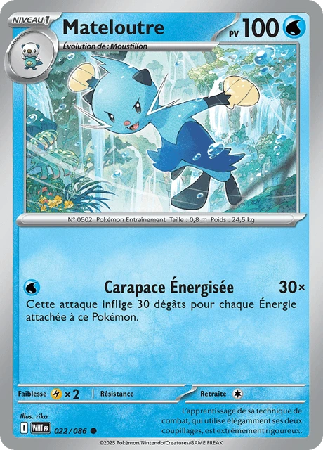 Mateloutre
