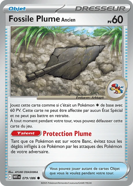 Fossile Plume Ancien – Normal