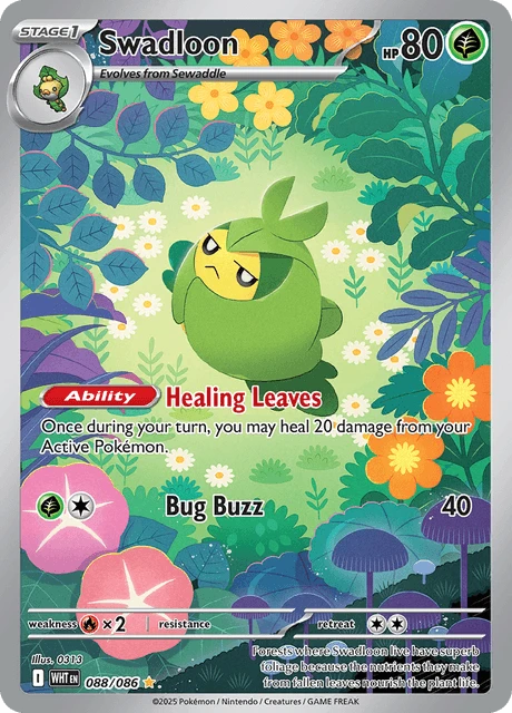 Swadloon – Holo
