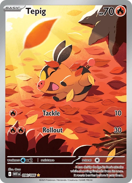 Tepig – Holo