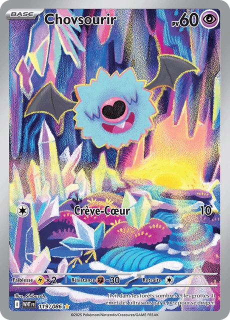 Chovsourir – Holo