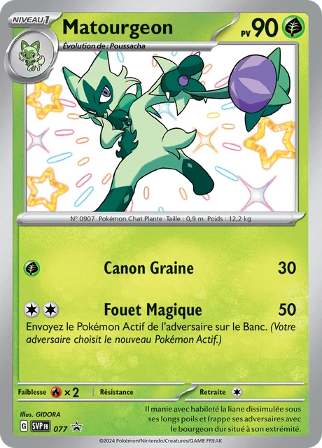 Matourgeon – Holo
