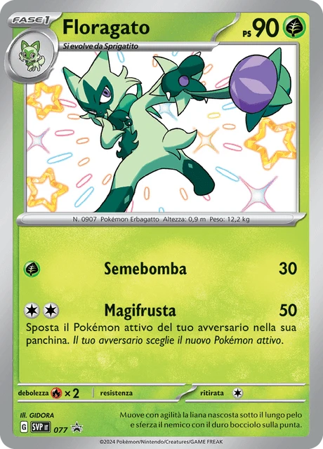 Floragato – Holo