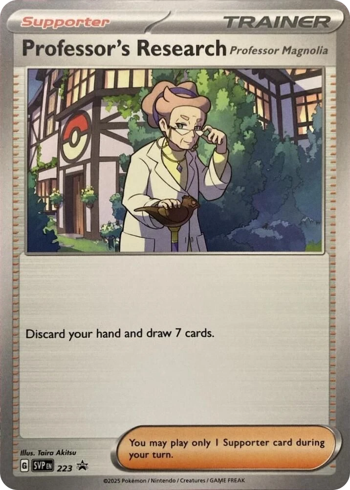Professor's Research