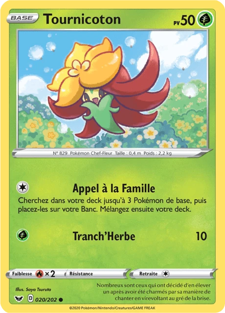 Tournicoton – Normal