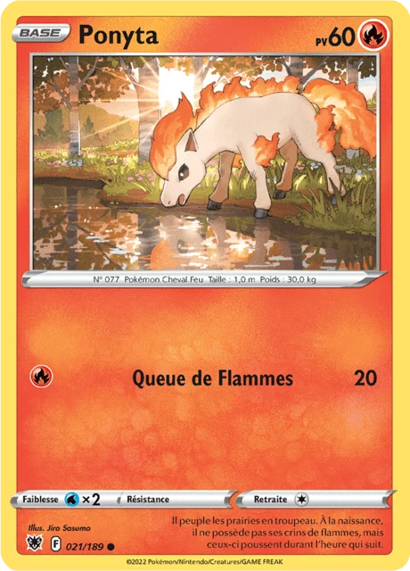 Ponyta