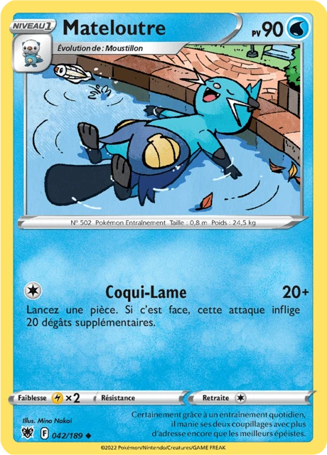 Mateloutre – Normal