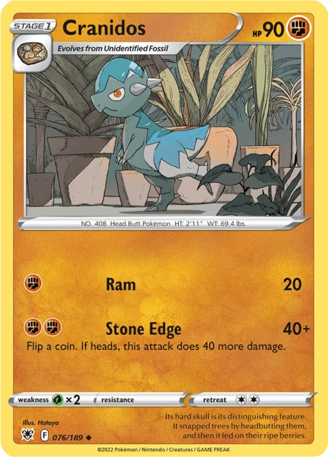 Cranidos – Normal
