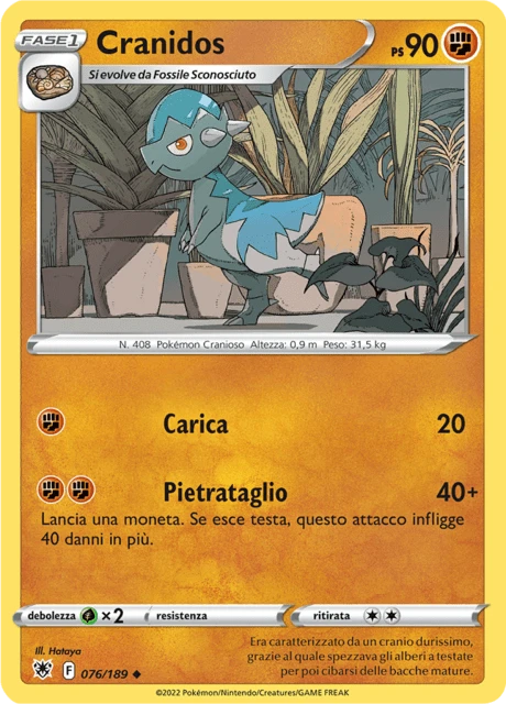 Cranidos – Normal