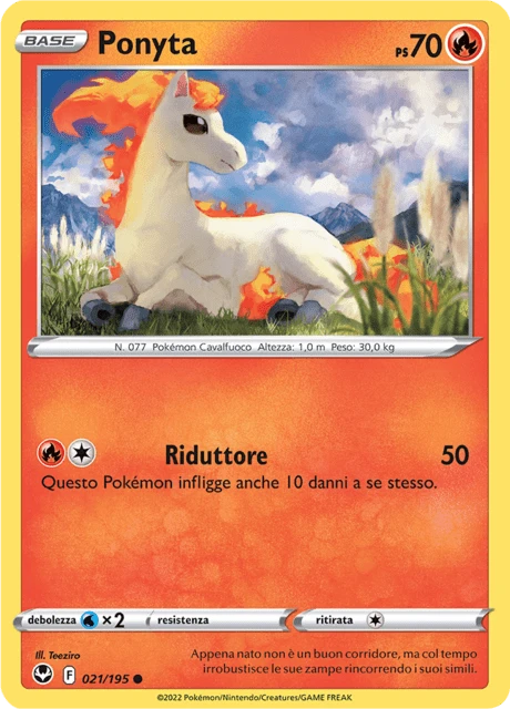 Ponyta
