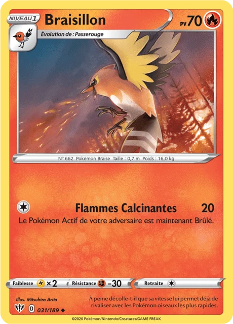 Braisillon