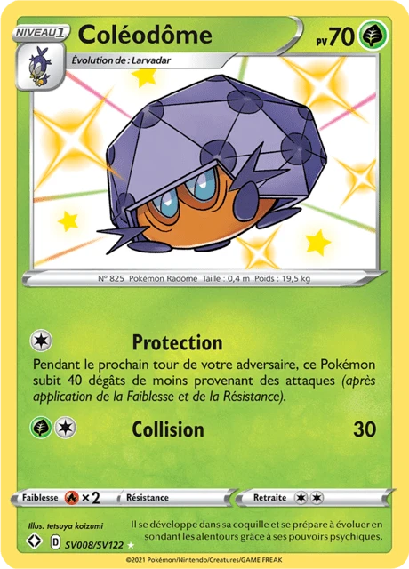 Coléodôme – Holo