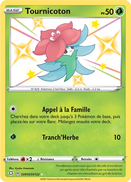 Tournicoton – Holo